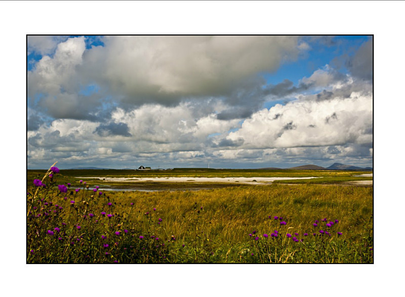  - Landscapes