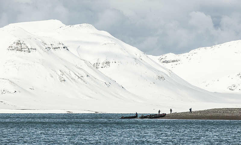  - Arctic
