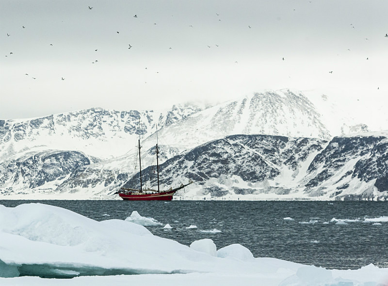  - Arctic