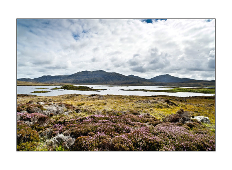  - Landscapes