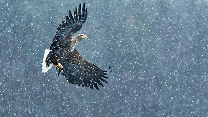 - Photographs of the Month