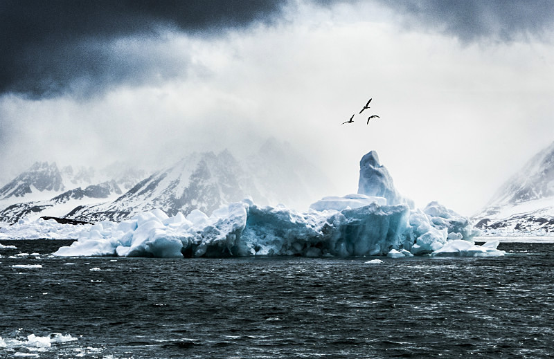  - Arctic