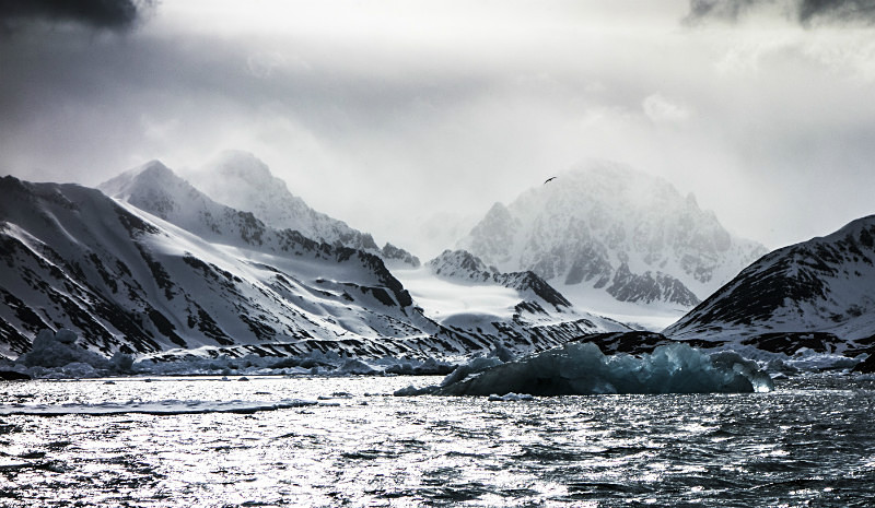  - Arctic
