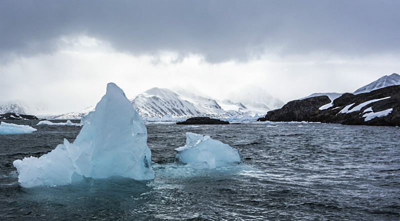 - Arctic