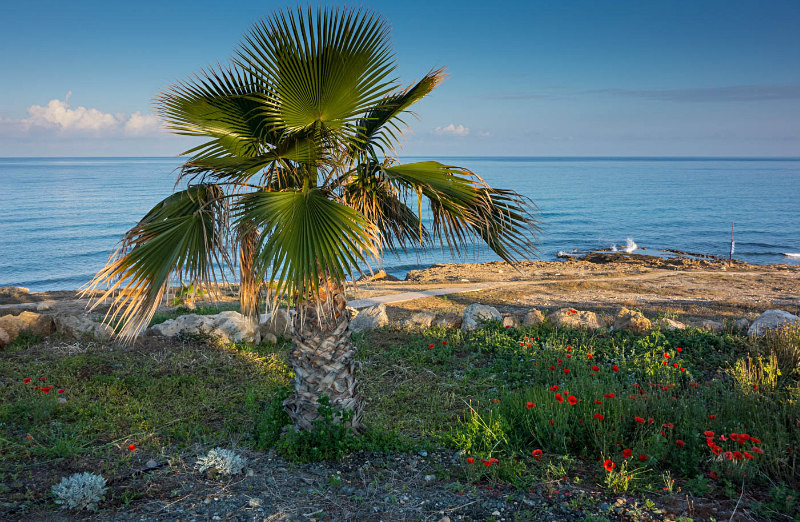  - Landscapes
