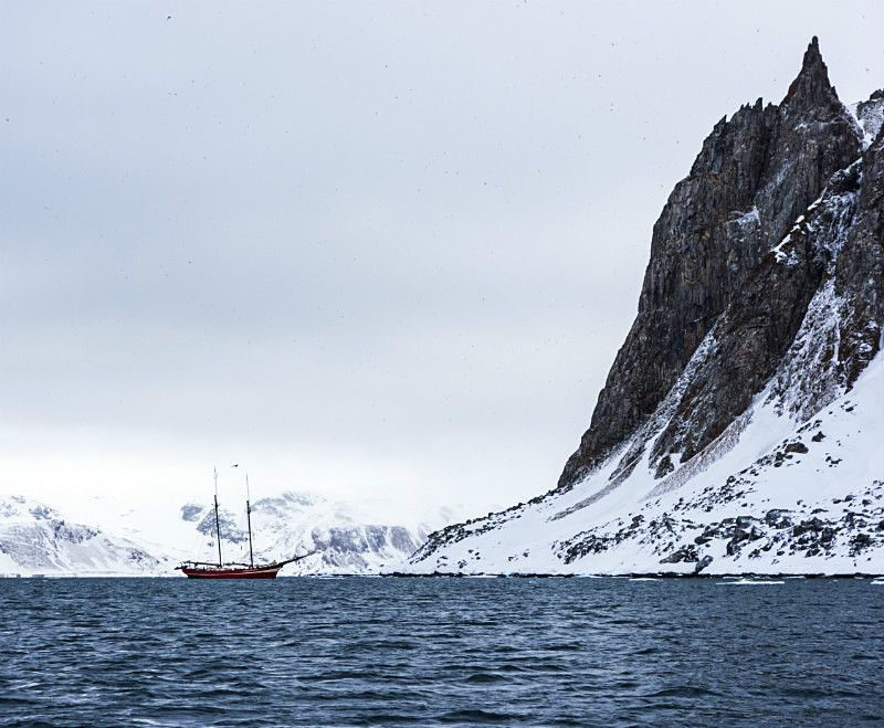  - Arctic