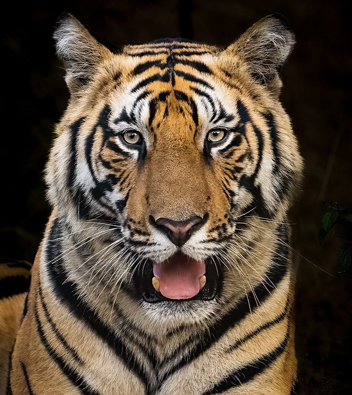  - Photographs of the Month