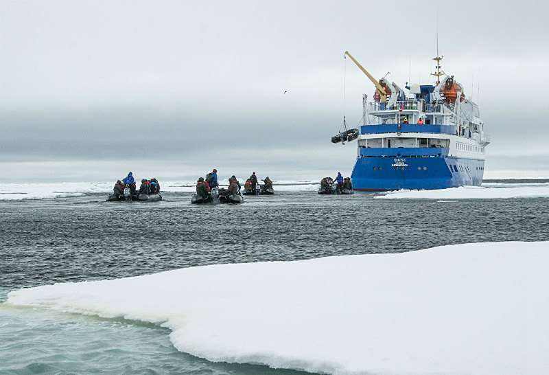  - Arctic