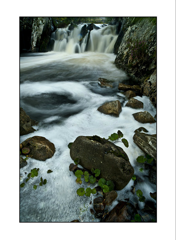  - Landscapes