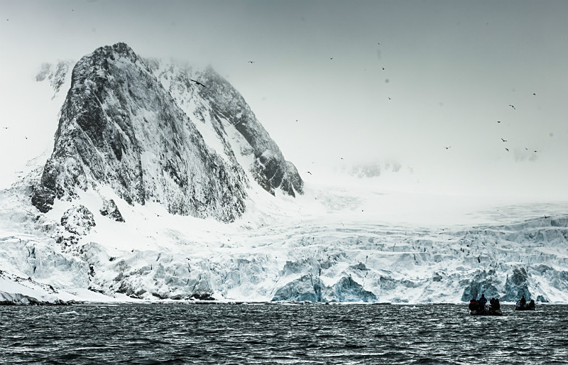  - Arctic