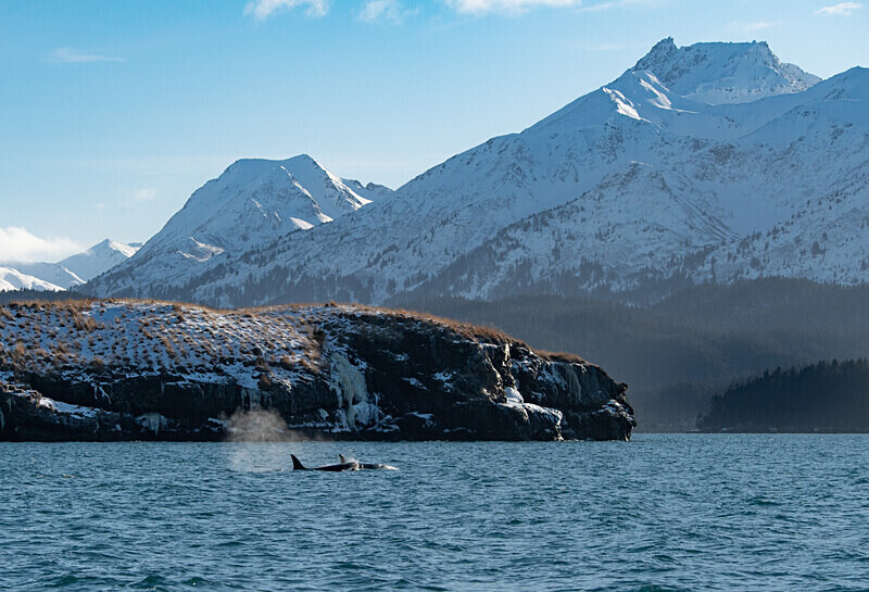  - Alaska