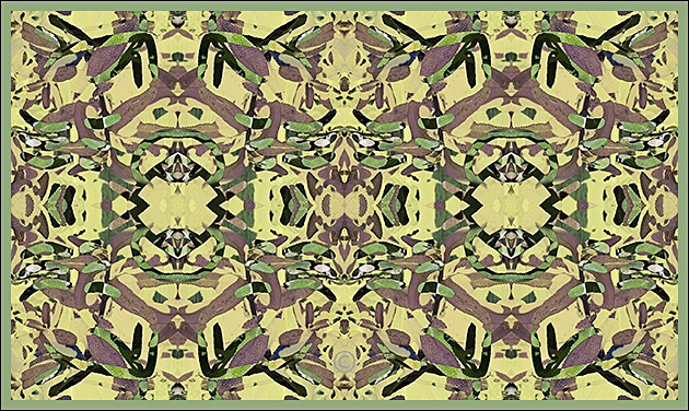 Abundance of sage - Altered Garden