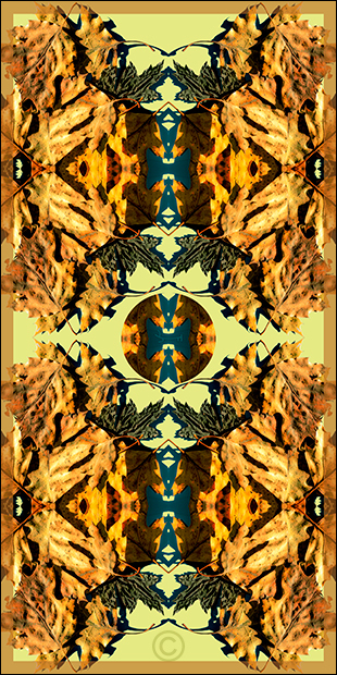 Fallen leaves - Trees and Leaves