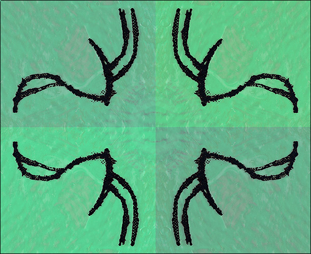 Greens - Cool Colors