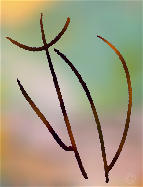 Gentle warmth of autumn - Quiet