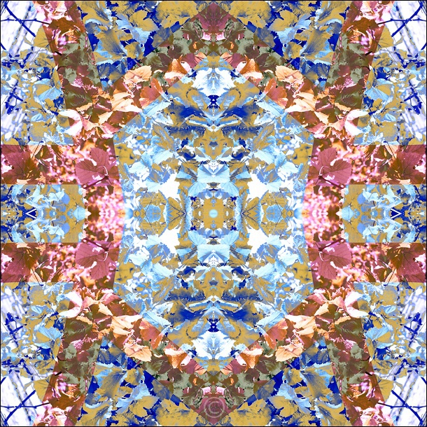 Shifting perception - Vineyard Stained Glass
