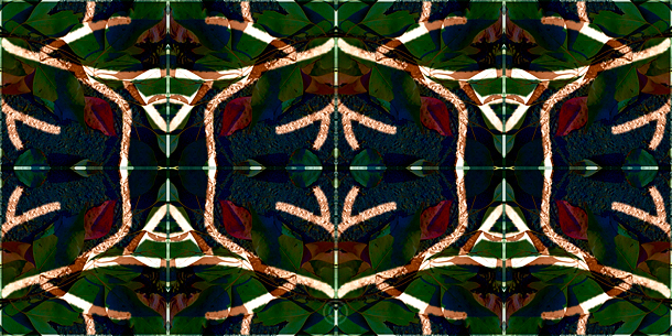 Monkey time - Leaves