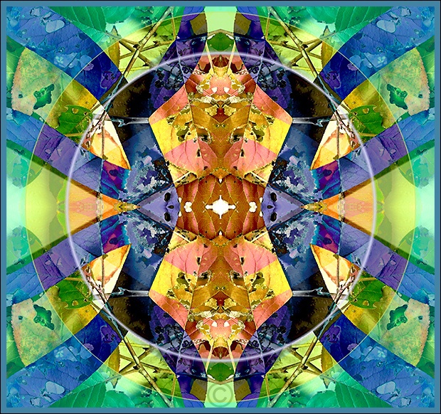 Perfectly imperfect - Mandalas