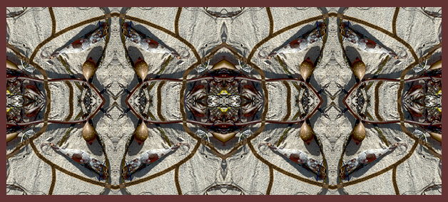 With Bryozoan v2 - Drawing on Surroundings