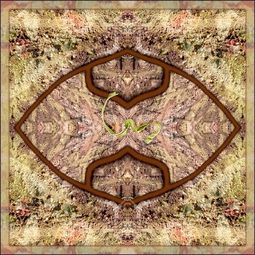 Zooming in on one thing - Sacred Earth