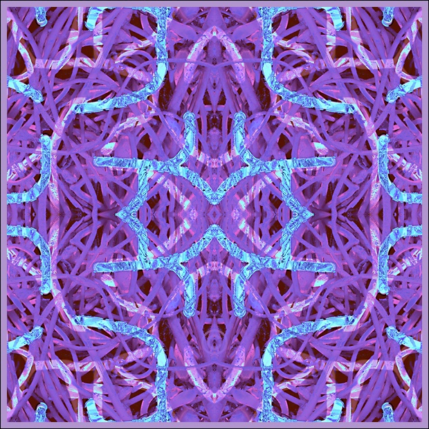 Controlled frenzy - Purple