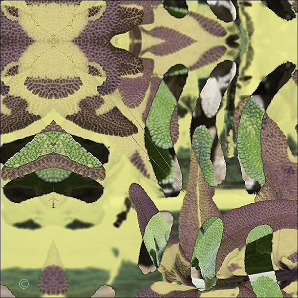 DETAIL of Abundance of sage - Altered Garden