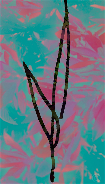 Leaves - Quiet