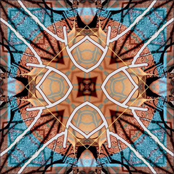 Drawing on nature - Mandalas
