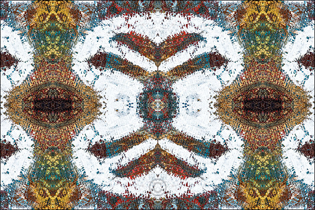 Celebrating texture - Texture