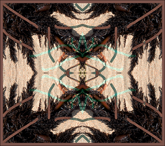 Beach symmetry - Drawing on Surroundings