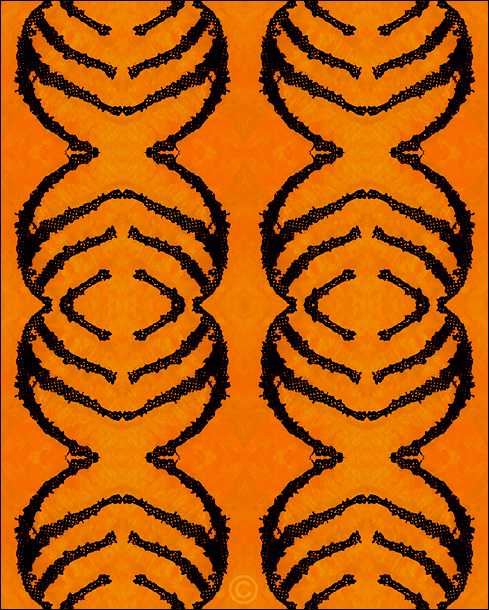 Pumpkin color - Patterns