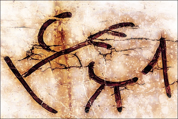 Light of day encroaching on a memory - Pictograph Drawings