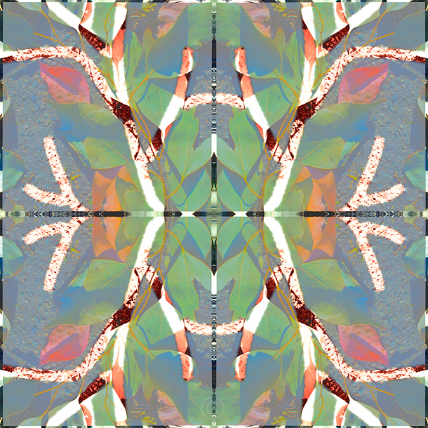 Experimenting with leaves - Leaves