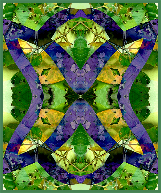 Like a butterfly that blends in - Leaves