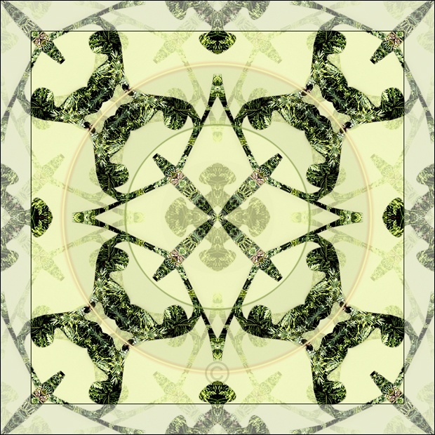 Green meditation - Sacred Earth