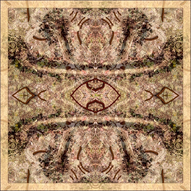 Camouflage - Sacred Earth