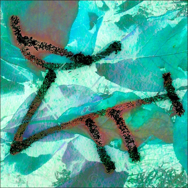 Almost otherworldly - Pictograph Drawings