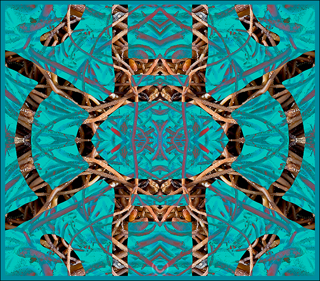 Aquamarine - Drawing on Surroundings