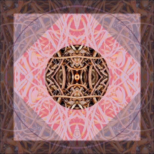 Speckled with sand - Mandalas