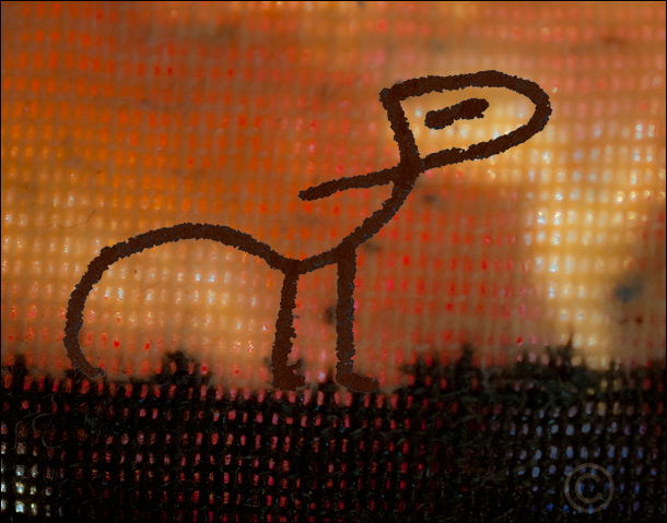 Seldom seen critter - Warm Tones
