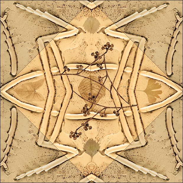Infinite inspiration from nature - Sacred Earth