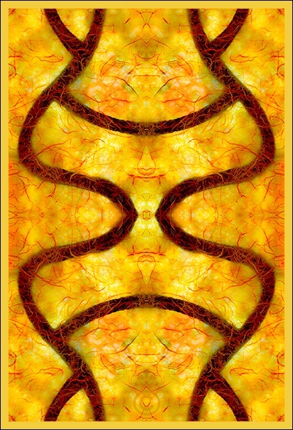 Golden synergy - Warm Colors