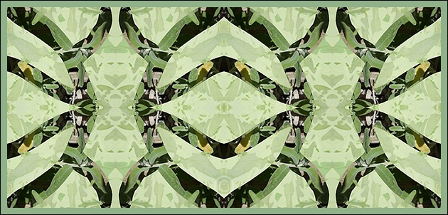 Shades of sage - Altered Garden