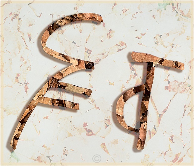 Yet to be decoded - Pictograph Drawings
