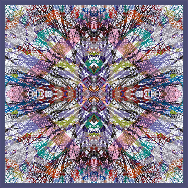 Bare trees kaleidoscope - Trees and Leaves