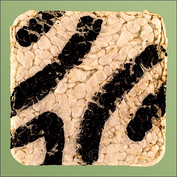 Rice cake E - Rice Cake Suite