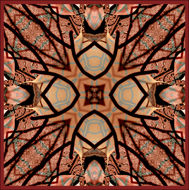 Branching out - Earth Inspirations
