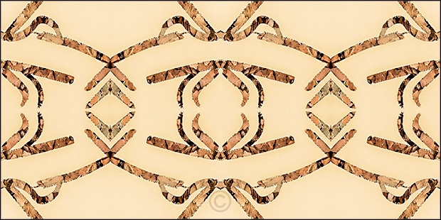 Double Symmetry with Crushed Leaves - Leaves