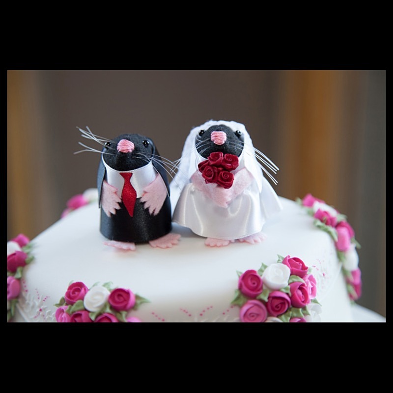  - Katy & Richard Wedding