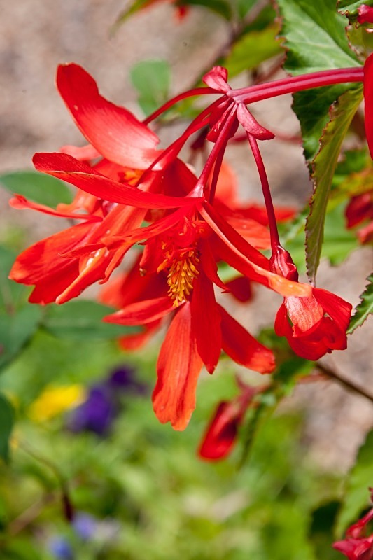 KG0058 - Pictorial & Stock Images